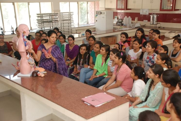 Mehr Chand Mahajan Dayanand Anglo Vedic College for Women Chandigarh Campus photo 4